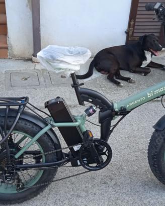 Bicicletta elettrica b max agento