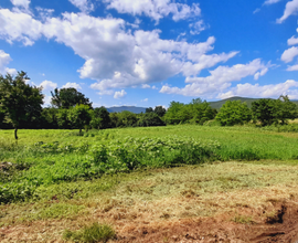 Terreno agricolo seminativo di 3225 mq² (1 moggio)