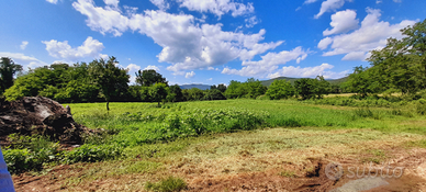 Terreno agricolo seminativo di 3225 mq² (1 moggio)