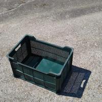 Cassette di plastica frutta