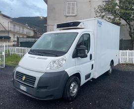 Fiat Ducato Frigo
