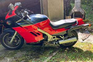 moto Suzuki