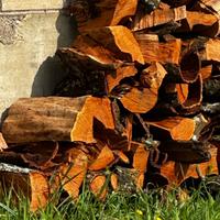 Legna albero di pesco da ardere