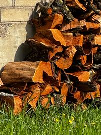 Legna albero di pesco da ardere