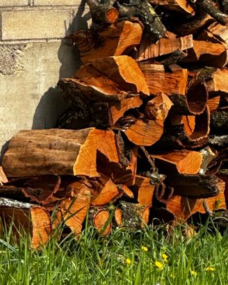 Legna albero di pesco da ardere