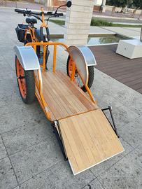 Cargo bike per trasporto carrozzina disabili