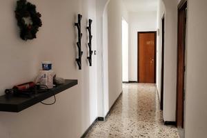 Luminoso 6 locali con balconi - Parco Pinocchio, S