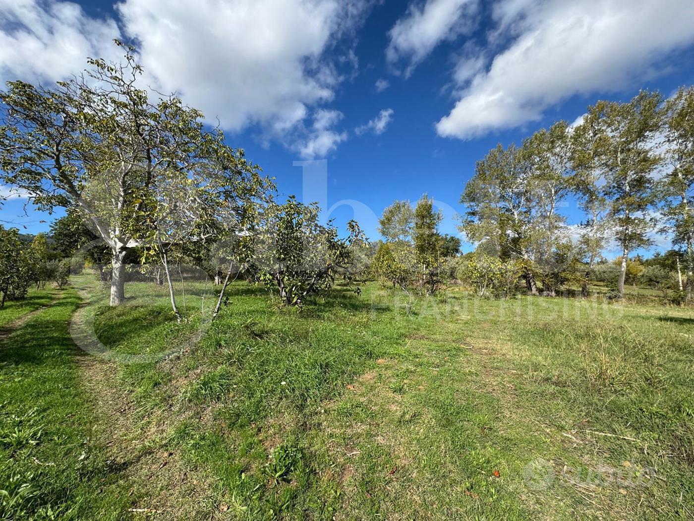 Terreno Agricolo Rende [Cod. rif 3271275VRG] - Vista 5