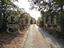 Immagine 6