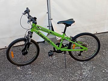 bicicletta per bambini 