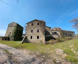 Rif.2460RC26739| azienda agricola piozzano