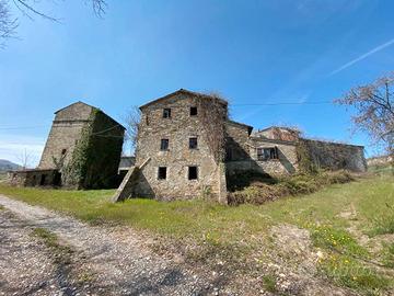 Rif.2460RC26739| azienda agricola piozzano