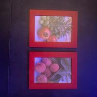 Quadri per arredamento