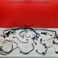 CABLAGGIO IMPIANTO TRIUMPH TIGER 955 2002 2006 955