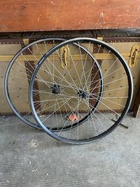 Cerchioni mtb