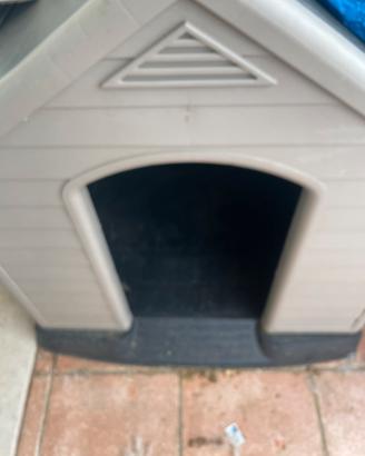 Cane Cuccia in vetroresina  per taglia grande