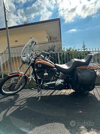 Softail custom 105th anniversary