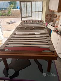 Rete a doga elettrica
