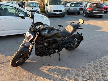 Benelli 502c (2019) - 15.000 km