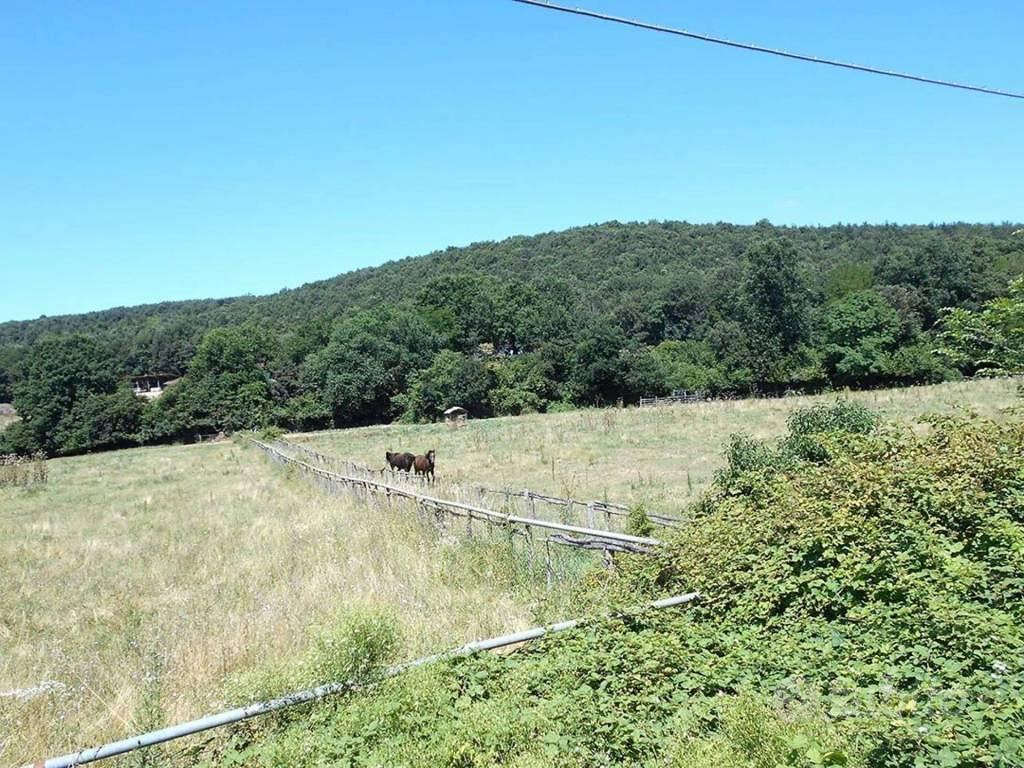 Immobile in asta di 357673 m² a Siena - Vista 5
