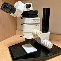 Leica mz6 microscopio stereomicroscopio 