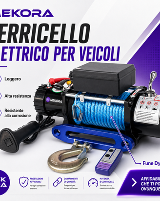 Verricello Elettrico 24V 9000 kg radiocomando 9ton
