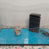tartarughiera teca acquario