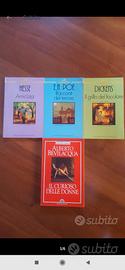 4 libri serie CAMOSCIO D'ORO e BESTSELLERS