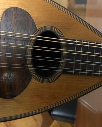 Mandolino napoletano 8 corde