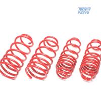 KIT MOLLE SPORTIVE PER NISSAN