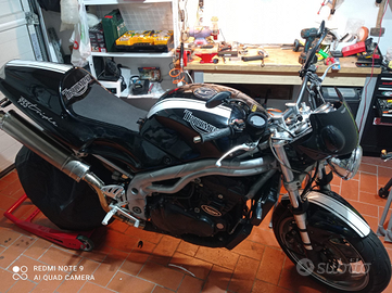 Triumph Speed Triple 955i del 2001