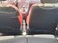 Immagine 12