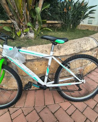 bicicletta ragazzo