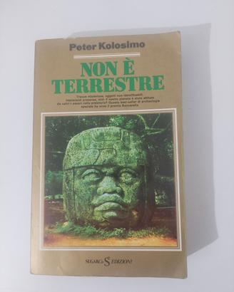 non è terrestre 