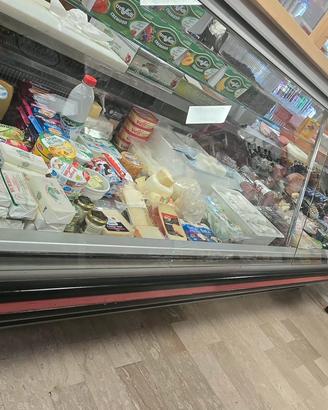 Bancofrigo alimentare 