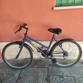 Mountain bike