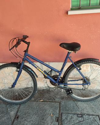 Mountain bike