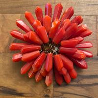 Spilla corallo vintage