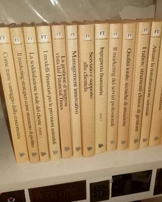 17 volumi della biblioteca di Financial Times dell