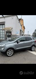 Ford Ecosport Grigio metalizzato-tagliandata