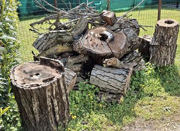 Legna da ardere - noce