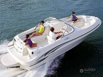 Sea Ray 210 (no meccanica)