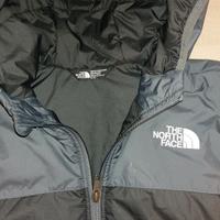 The north face jacket 