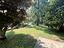 Immagine 29