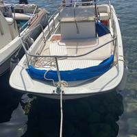 Boston Whaler 17