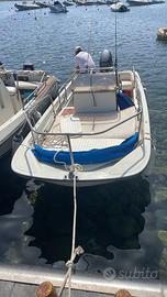 Boston Whaler 17