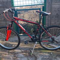 Mountain bike ragazzi