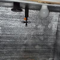 Serra o Fungaia Automatizzata