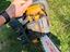 Immagine 5