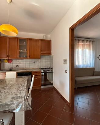 Appartamento 60mq con garage posto auto e resede